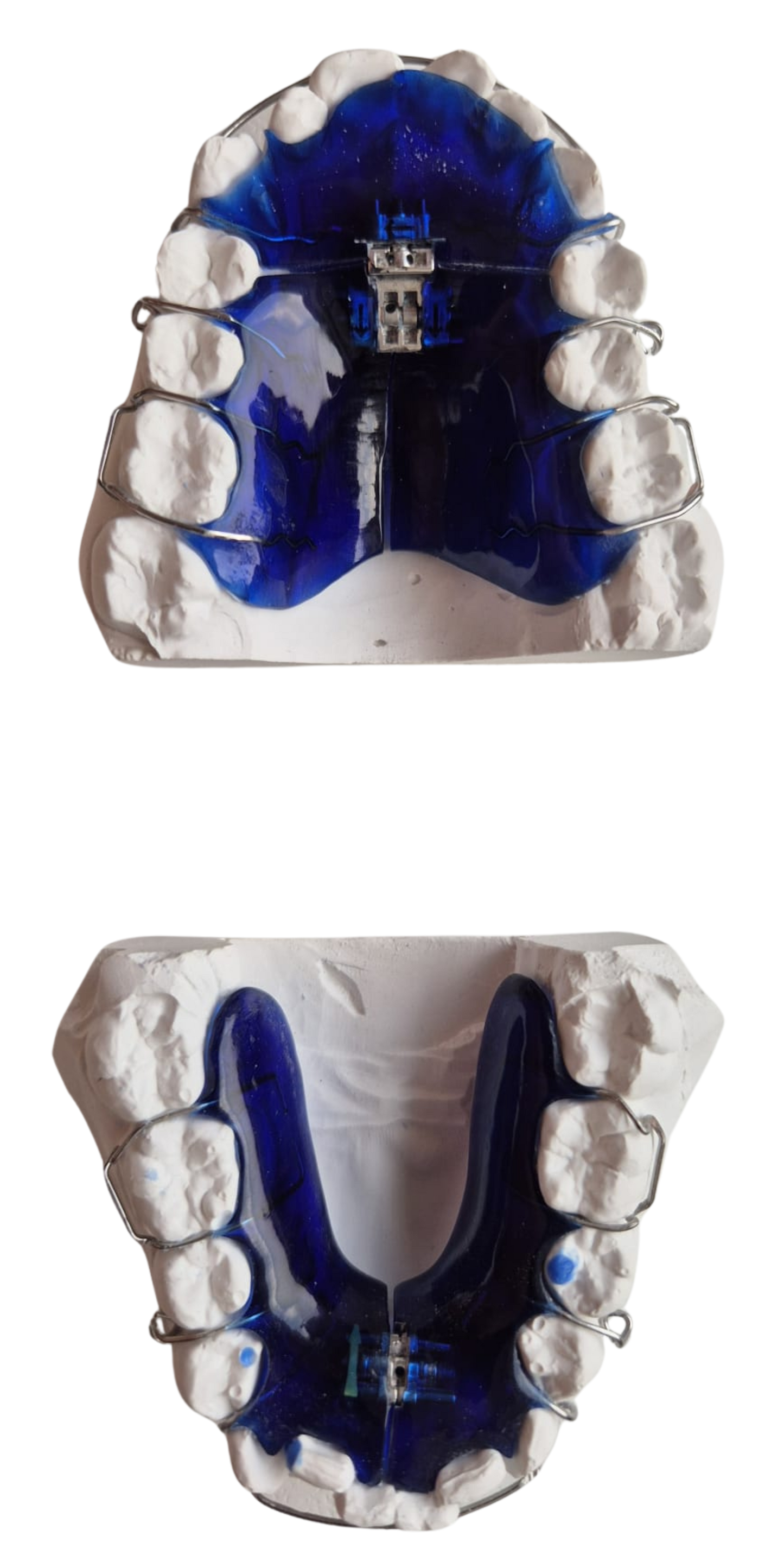 Full Growth Plate