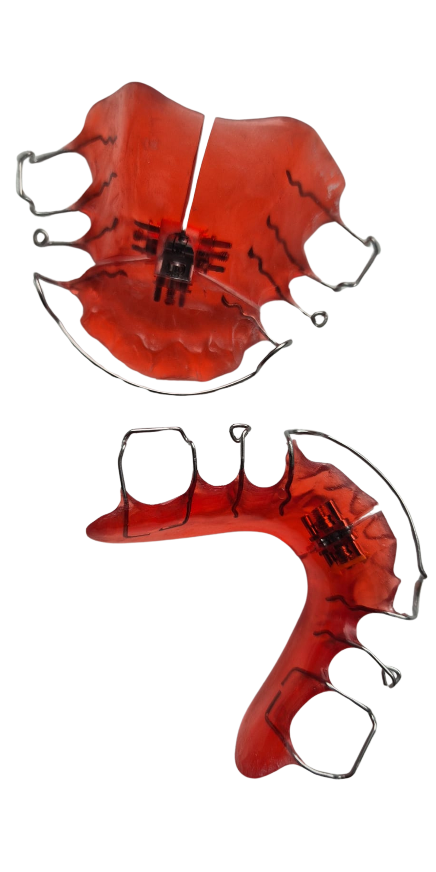 Lower Growth Plate