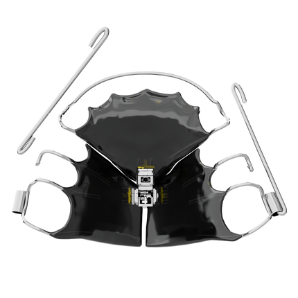 Forward Development Bundle