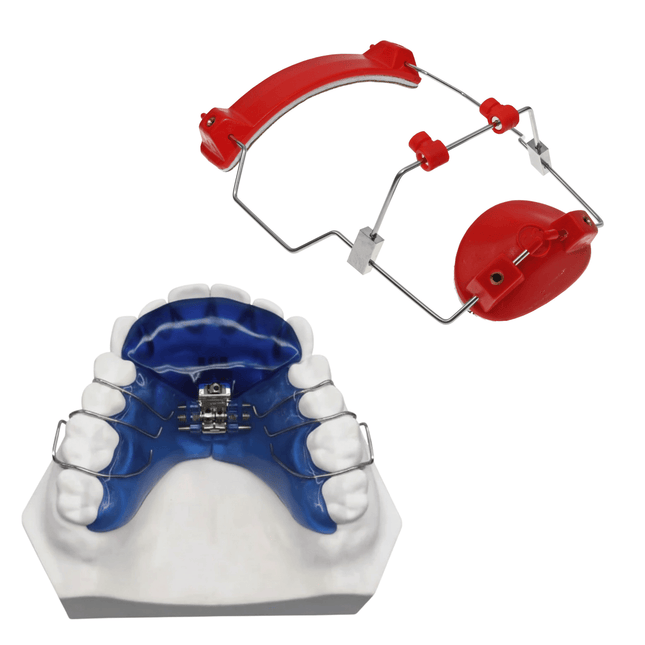 Forward Development Bundle