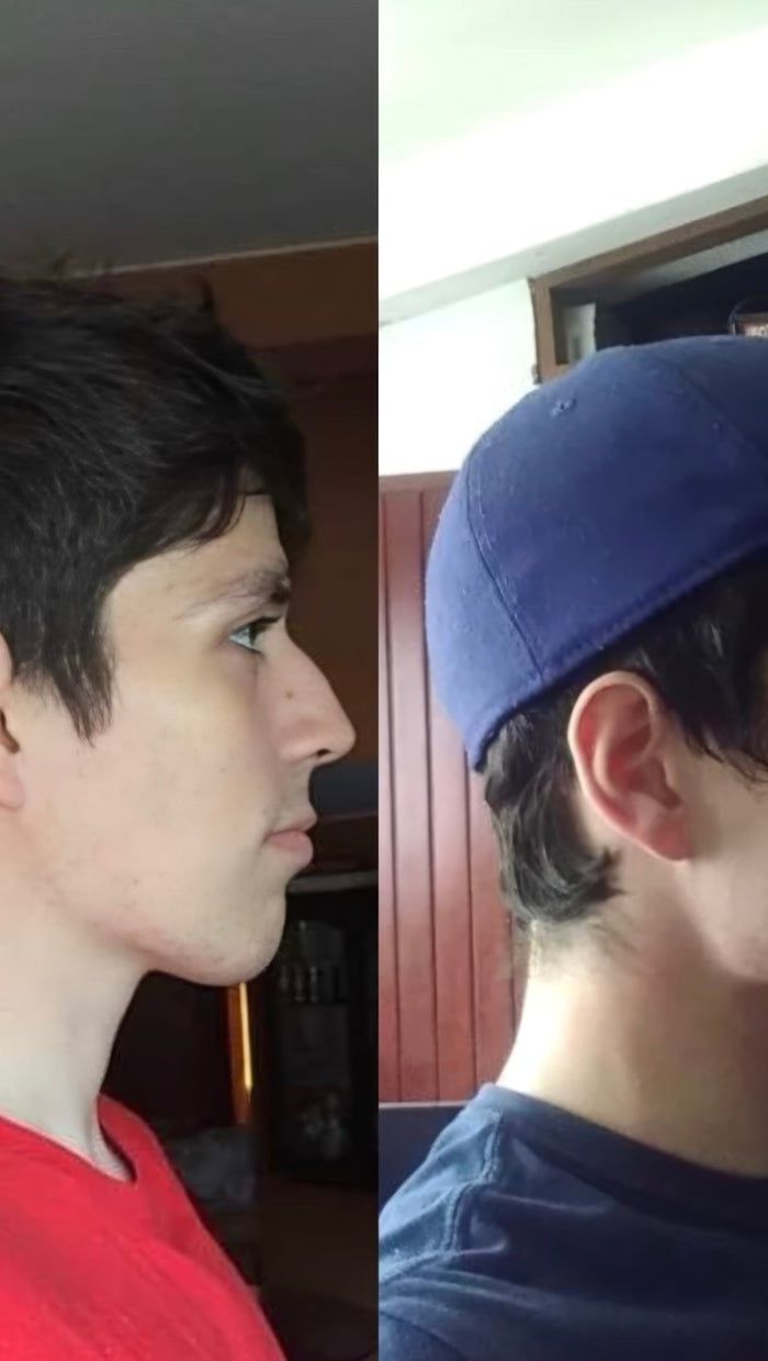 <h2><strong>Everyday Gains</strong></h2>